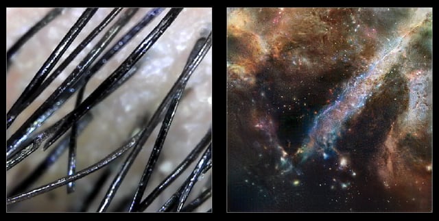 We are made of star dust project